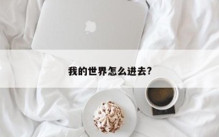 我的世界怎么进去?