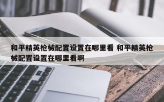 和平精英枪械配置设置在哪里看 和平精英枪械配置设置在哪里看啊