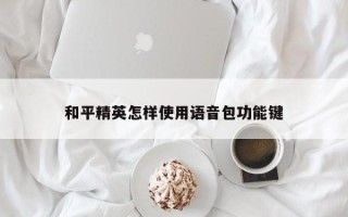 和平精英怎样使用语音包功能键