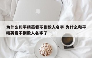 为什么和平精英看不到敌人名字 为什么和平精英看不到敌人名字了