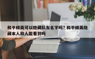 和平精英可以隐藏队友名字吗? 和平精英隐藏本人敌人能看到吗