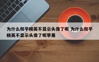 为什么和平精英不显示头像了呢 为什么和平精英不显示头像了呢苹果