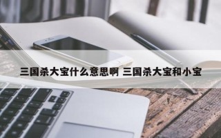 三国杀大宝什么意思啊 三国杀大宝和小宝