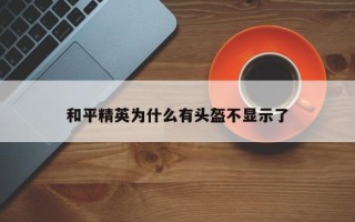 和平精英为什么有头盔不显示了