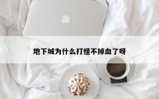 地下城为什么打怪不掉血了呀