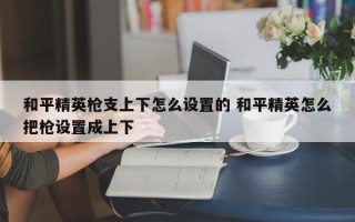 和平精英枪支上下怎么设置的 和平精英怎么把枪设置成上下