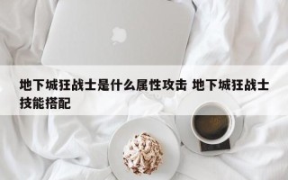 地下城狂战士是什么属性攻击 地下城狂战士技能搭配