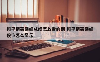 和平精英***成绩怎么看的到 和平精英***段位怎么显示