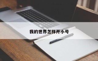 我的世界怎样开小号