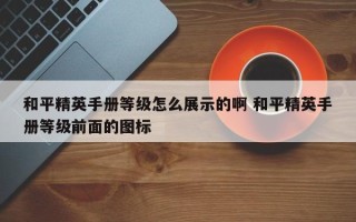 和平精英手册等级怎么展示的啊 和平精英手册等级前面的图标