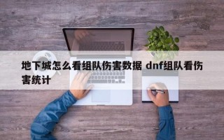 地下城怎么看组队伤害数据 dnf组队看伤害统计