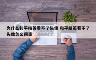 为什么和平精英看不了头像 和平精英看不了头像怎么回事