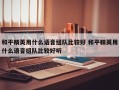 和平精英用什么语音组队比较好 和平精英用什么语音组队比较好听