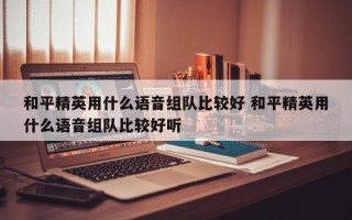 和平精英用什么语音组队比较好 和平精英用什么语音组队比较好听