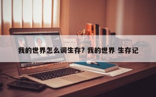 我的世界怎么调生存? 我的世界 生存记