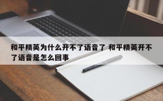 和平精英为什么开不了语音了 和平精英开不了语音是怎么回事