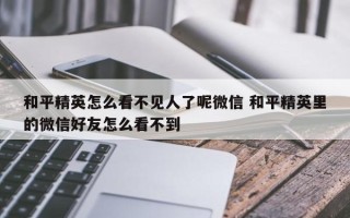 和平精英怎么看不见人了呢微信 和平精英里的微信好友怎么看不到