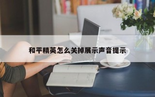 和平精英怎么关掉展示声音提示