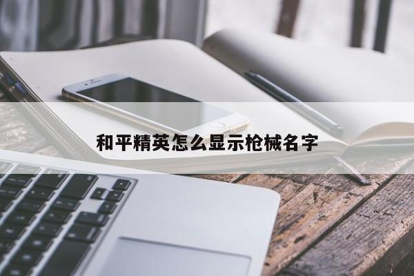 和平精英怎么显示枪械名字-第1张图片