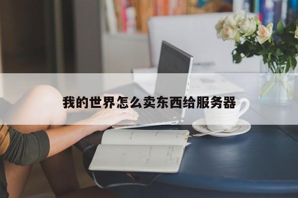 我的世界怎么卖东西给服务器-第1张图片