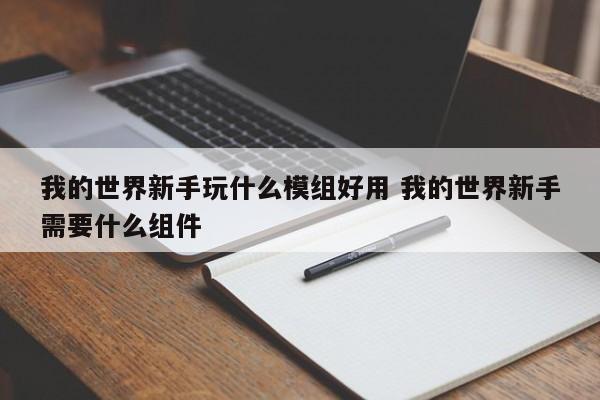 我的世界新手玩什么模组好用 我的世界新手需要什么组件-第1张图片