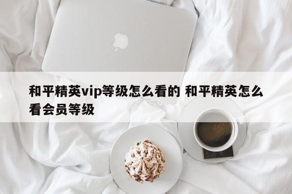 和平精英vip等级怎么看的 和平精英怎么看会员等级-第1张图片