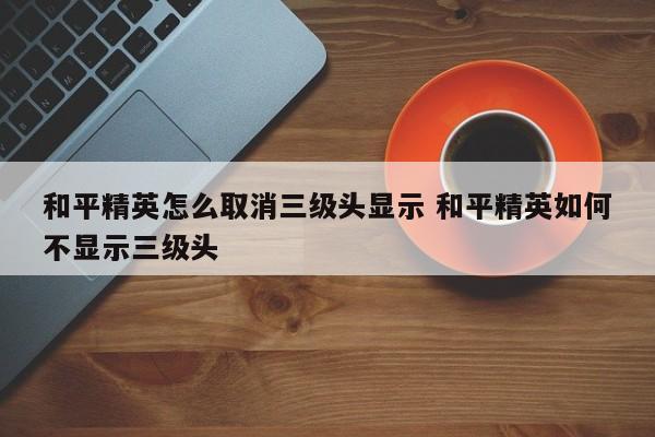 和平精英怎么取消三级头显示 和平精英如何不显示三级头-第1张图片