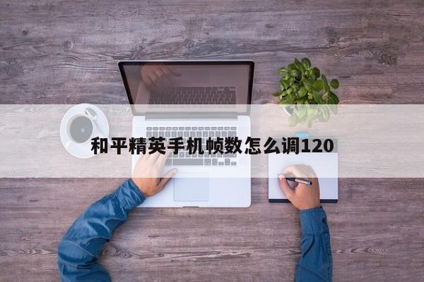 和平精英手机帧数怎么调120-第1张图片