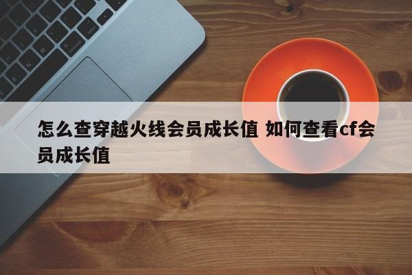 怎么查穿越火线会员成长值 如何查看cf会员成长值-第1张图片