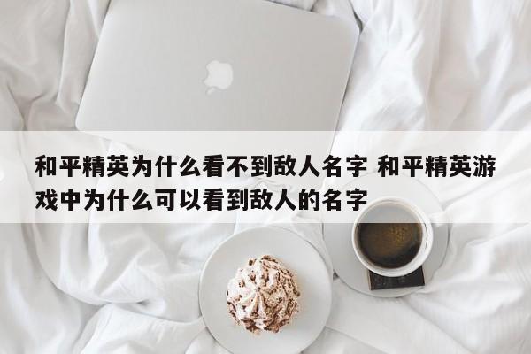 和平精英为什么看不到敌人名字 和平精英游戏中为什么可以看到敌人的名字-第1张图片