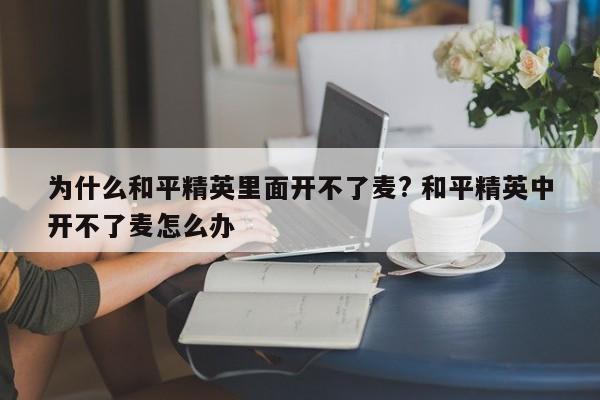 为什么和平精英里面开不了麦? 和平精英中开不了麦怎么办-第1张图片